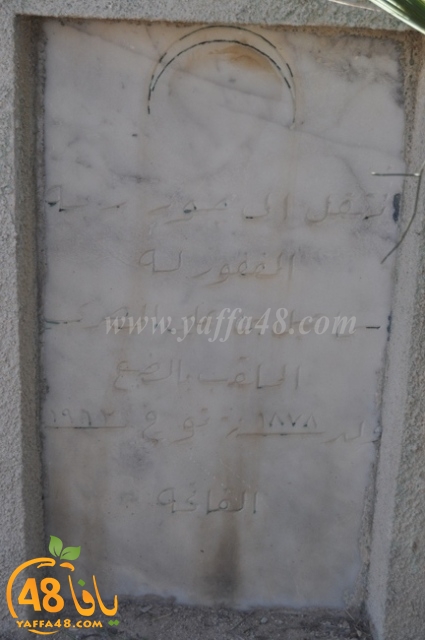 WhatsApp Image 2022-05-25 at 1.02.03 PM.jpg